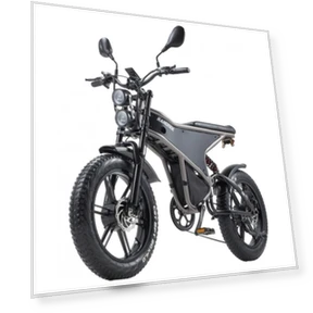 Electric Bike — Electric Self-Balancing Scooters, RANDRIDE