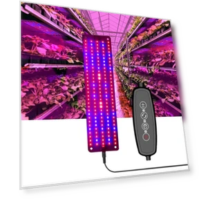 Full Spectrum Red And Blue Light Panel Plant Grow Lamp — Growing Lamps