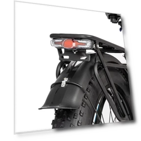 Electric Bike — Electric Self-Balancing Scooters, Ridstar