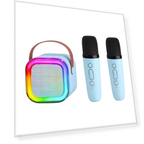Portable Wireless Karaoke Sound Speaker with Dual Microphone — Portable Audio Solutions