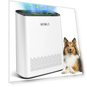 HEPA Air Purifier for Large Rooms — Activated Carbon Air Purifiers, KNKA