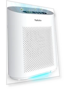 Large Room Air Purifier with H14 HEPA Filter — Activated Carbon Air Purifiers, Tailulu