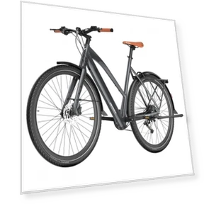 Electric Bike — Electric Self-Balancing Scooters, Fafrees
