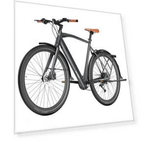 Electric Bike — Electric Self-Balancing Scooters, Fafrees
