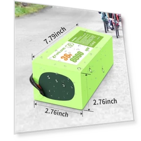 Lithium ion Battery for Electric Bike Scooter Tricicycle — Batteries & Chargers, H HAILONG