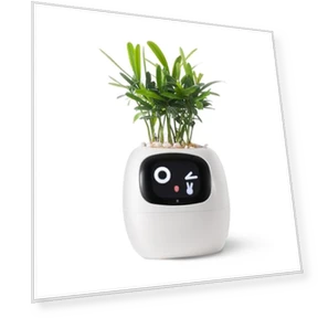 Умный горшок для растений с роботом-помощником — Растения и зелень, PLANTSIO