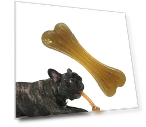 Dog Teeth Cleaning Stick — Chew Toys
