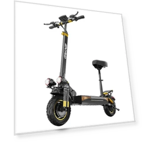 Electric Scooter — Electric Self-Balancing Scooters, IENYRID