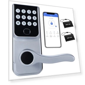 Keyless Entry Smart Door Lock — Locks, LORVIBO