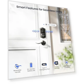 Fingerprint Smart Lock with 2 Lever Handles — Deadbolts, Veise