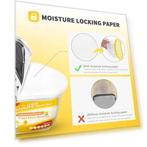 Moisture Absorbers 6 pack — Air Moisture Control, Vacplus