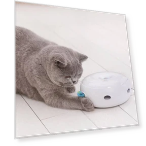 Electric Rotating Turntable Funny Cat Toy — Cat Playthings