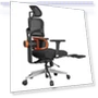 Превью Ergonomic Chair with Lumbar Support, Adjustable Armrest, Headrest, Footrest, 4D Mesh — Back & Seat Cushions, NEWTRAL