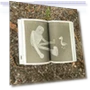 Thumbnail The Wild Robot Book Volume 1 — Children's Books, Little, Brown Books for Young Readers