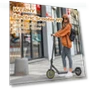 Превью Electric Scooter — Push Scooters, WERHY