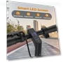 Превью Electric Scooter — Push Scooters, WERHY