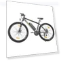 Thumbnail 29 Inch CST Tire Electric Bike MTB Mountain Bike With App Control — Electric Self-Balancing Scooters, Eleglide