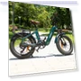 Thumbnail Master Electric Bike — Electric Self-Balancing Scooters, Fafrees