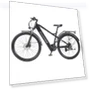 Превью Electric Bike — Electric Self-Balancing Scooters, RANDRIDE