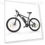 Превью Electric Bike — E-Bikes, Foride