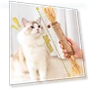Thumbnail Extra Large Silvervine Cat Toy — Dental Care