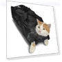 Thumbnail Pet Bathing Bag — Health