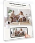Thumbnail 360° WiFi Security Camera — Baby Monitors, CAMSTRO