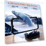 Thumbnail Outdoor Mobile Phone — Portable Audio Solutions, OUKITEL