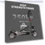 Превью Electric Scooter — Push Scooters, Fieabor