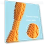 थंबनेल Hexagonal Molar Teeth Cleaning Stick Pet Toothbrush — Chew Toys