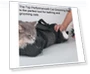 Превью Pet Bath Kit — Bath Accessories