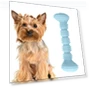 Превью Teething Toys Chewing Gnawing Dog Toothbrush — Chew Toys