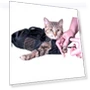 Thumbnail Pet Bathing Bag — Health