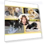 Thumbnail Tooth Cleaning Chewing Toy Balls for Pets — Chew Toys