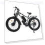 Превью Electric Bike — E-Bikes, Orlms