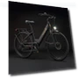 Превью Electric Bike — Electric Self-Balancing Scooters, PURE UNICORN