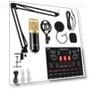 थंबनेल Studio Condenser Microphone Set with Sound Card — Microphones
