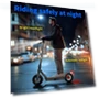 Превью Electric Scooter with 10" Tires — Electric Self-Balancing Scooters, SISIGAD