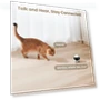 Thumbnail Indoor Security Camera Robot — Cameras & Monitors, Enabot