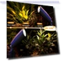 Thumbnail Smart RGB Color Changing Landscape Lighting — Garden Illumination, rosykite
