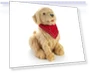 Thumbnail Companion Pet for Seniors - Lifelike Animatronic Dog — Interactive Animal Companions, JOY FOR ALL