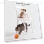 Превью Intelligent Remote Control Pet Toy Luminous Ball for Dog Training — Balls, O1