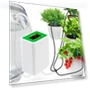 Thumbnail Intelligent Drip Irrigation Automatic Watering Timer — Automatic Irrigation, Home Intelligent