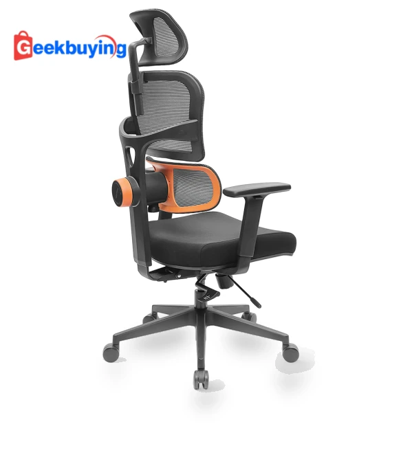 Ergonomic Chair with Adaptive Lower Back Support — Back & Seat Cushions, NEWTRAL