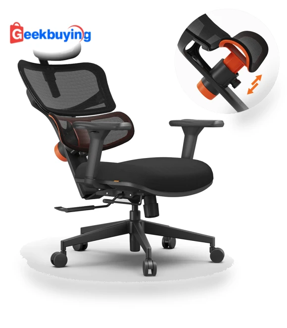 Ergonomic Chair with Adaptive Lower Back Support — Back & Seat Cushions, NEWTRAL