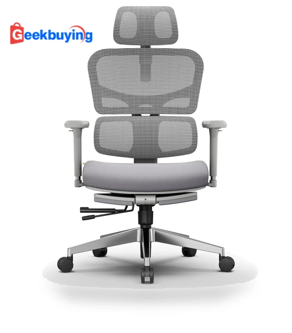 Ergonomic Chair with Adaptive Lower Back Support — Back & Seat Cushions, NEWTRAL