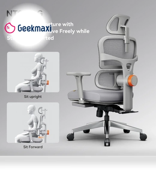 Ergonomic Chair with Adjustable Backrest, Armrest, Headrest, and Footrest - Grey — Back & Seat Cushions, NEWTRAL