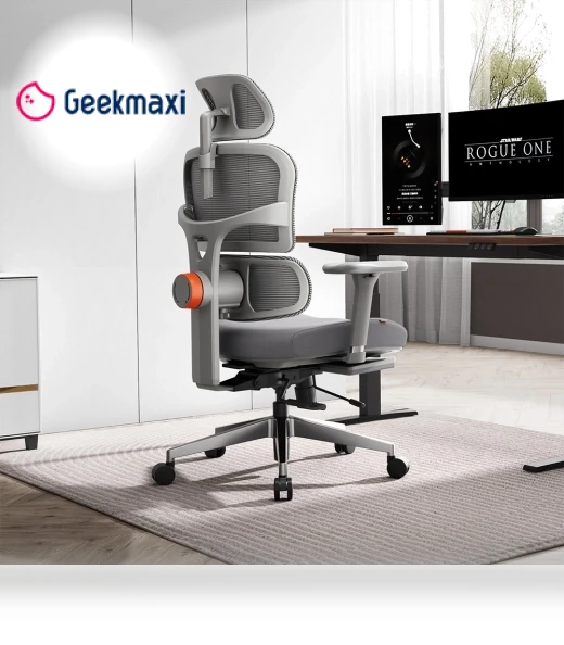 Ergonomic Chair with Adjustable Backrest, Armrest, Headrest, and Footrest - Grey — Back & Seat Cushions, NEWTRAL