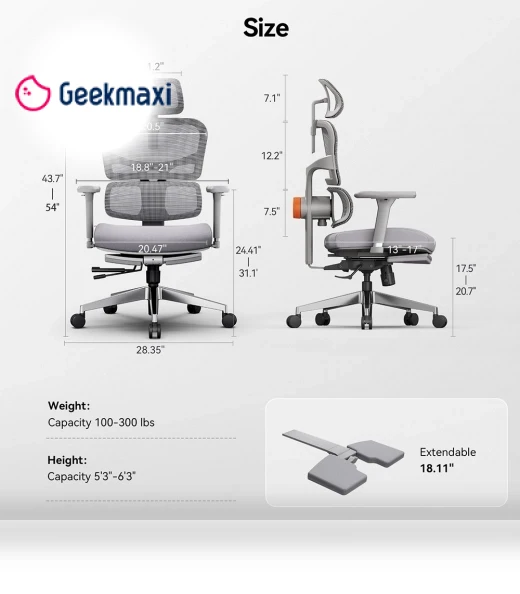 Ergonomic Chair with Adjustable Backrest, Armrest, Headrest, and Footrest - Grey — Back & Seat Cushions, NEWTRAL