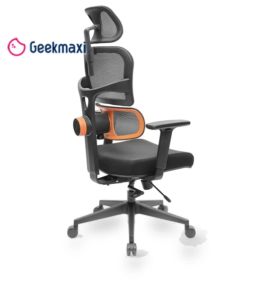 Ergonomic Chair with Adaptive Lower Back Support, Adjustable Armrest and Headrest — Back & Seat Cushions, NEWTRAL